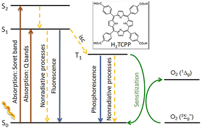 image file: d5lf00380f-f12.tif