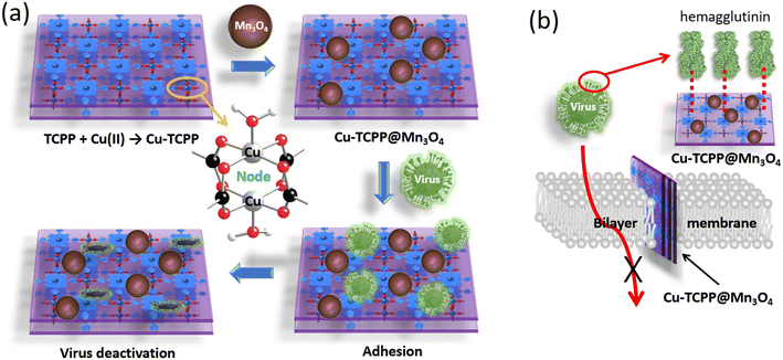 image file: d5lf00380f-f19.tif