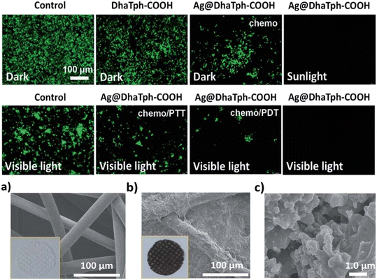 image file: d5lf00380f-f22.tif