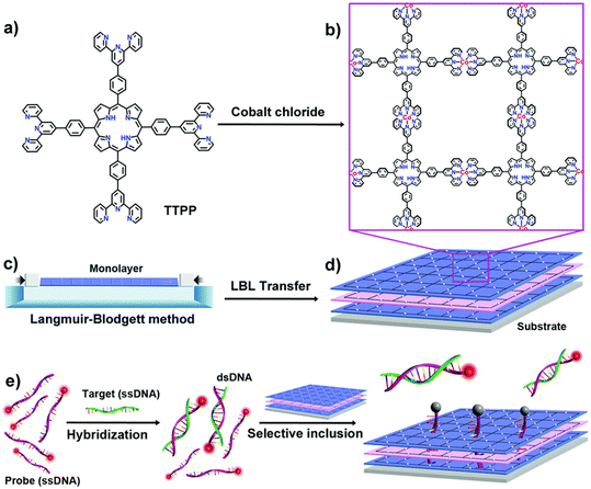 image file: d5lf00380f-f5.tif