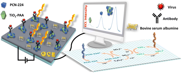 image file: d5lf00380f-f6.tif