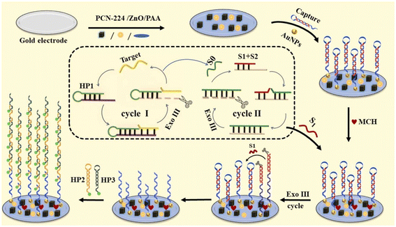 image file: d5lf00380f-f7.tif