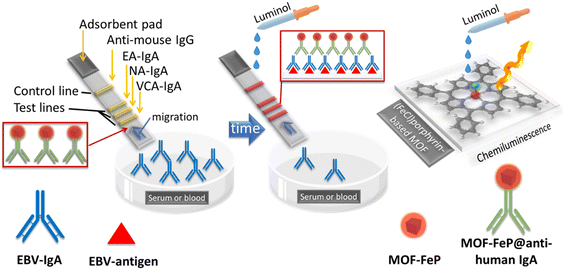 image file: d5lf00380f-f8.tif