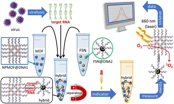 image file: d5lf00380f-f9.tif