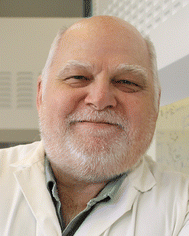 image file: d5lf00380f-p1.tif