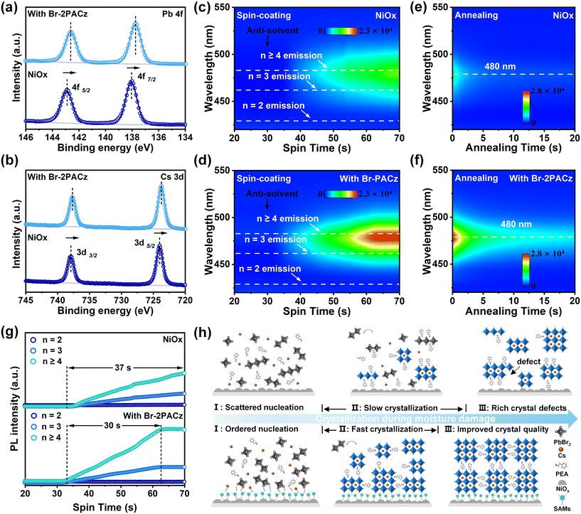 image file: d5lf00384a-f3.tif