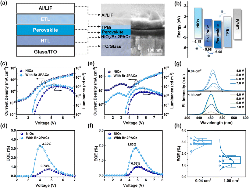 image file: d5lf00384a-f4.tif
