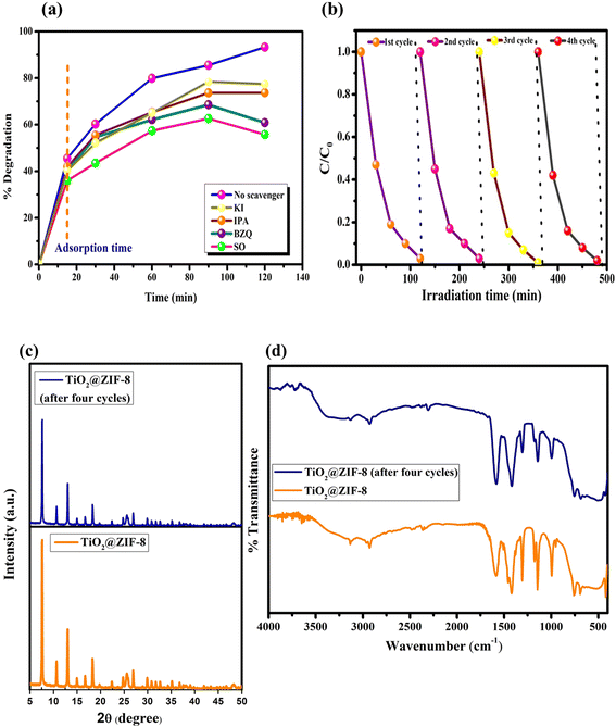 image file: d5lf00405e-f10.tif