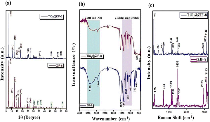 image file: d5lf00405e-f2.tif