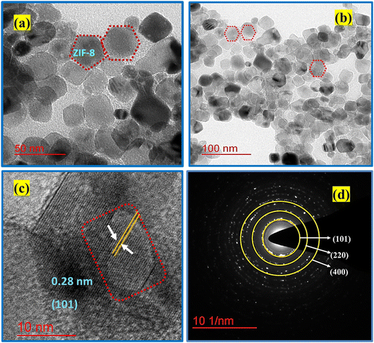 image file: d5lf00405e-f6.tif