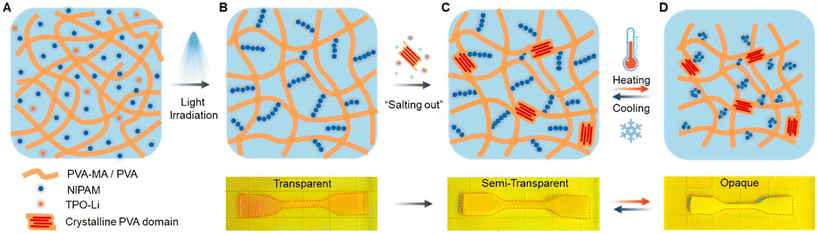 image file: d5lp00092k-f3.tif