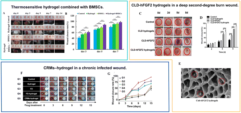 image file: d5lp00092k-f4.tif