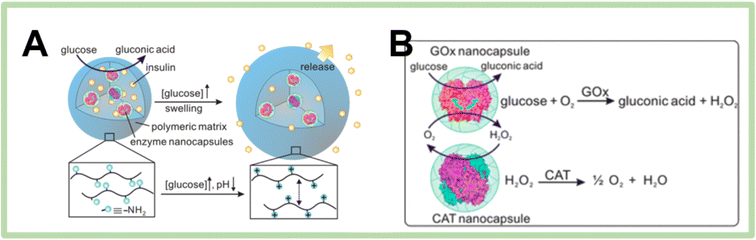 image file: d5lp00092k-f6.tif