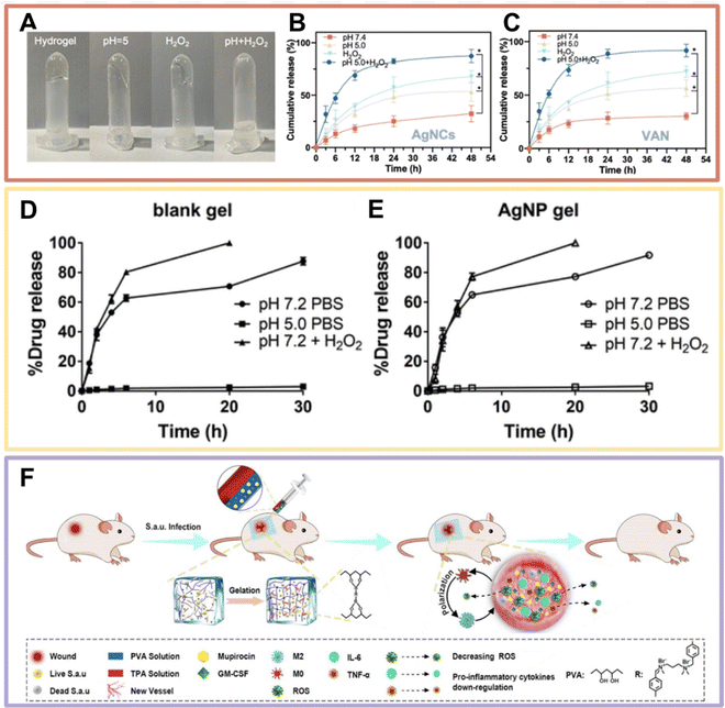 image file: d5lp00092k-f8.tif