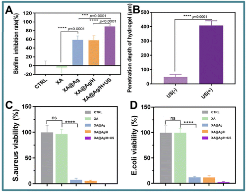 image file: d5lp00092k-f9.tif