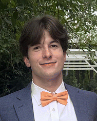 image file: d5lp00092k-p2.tif