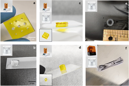 image file: d5lp00190k-f4.tif