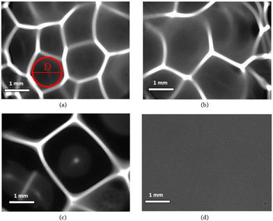 image file: d5lp00191a-f1.tif