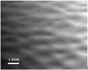 image file: d5lp00191a-f2.tif