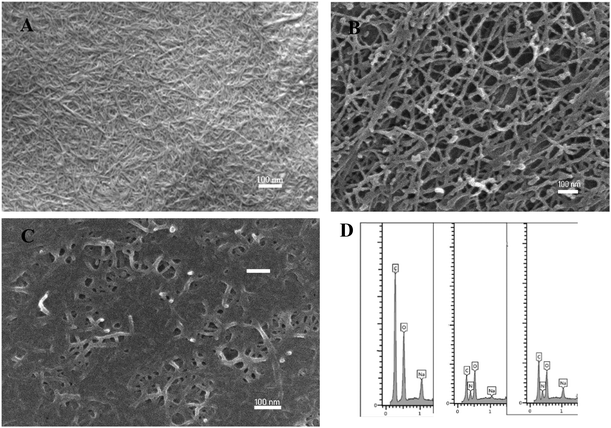 image file: d5lp00201j-f3.tif