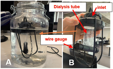 image file: d5lp00201j-f7.tif