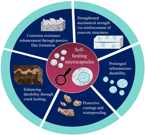 image file: d5lp00210a-f11.tif