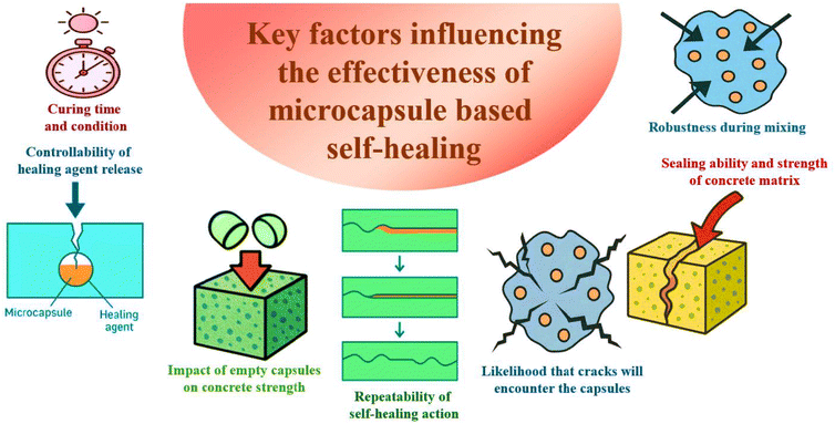 image file: d5lp00210a-f2.tif