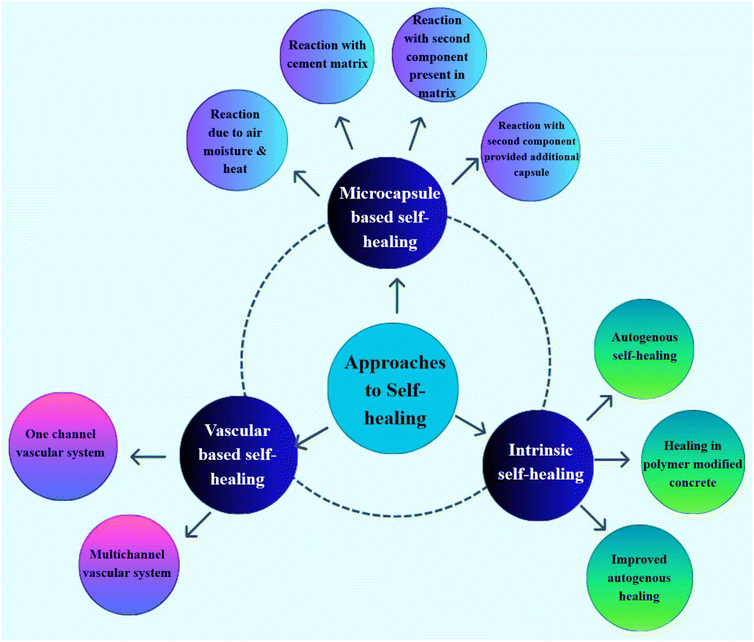 image file: d5lp00210a-f3.tif