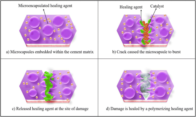 image file: d5lp00210a-f4.tif