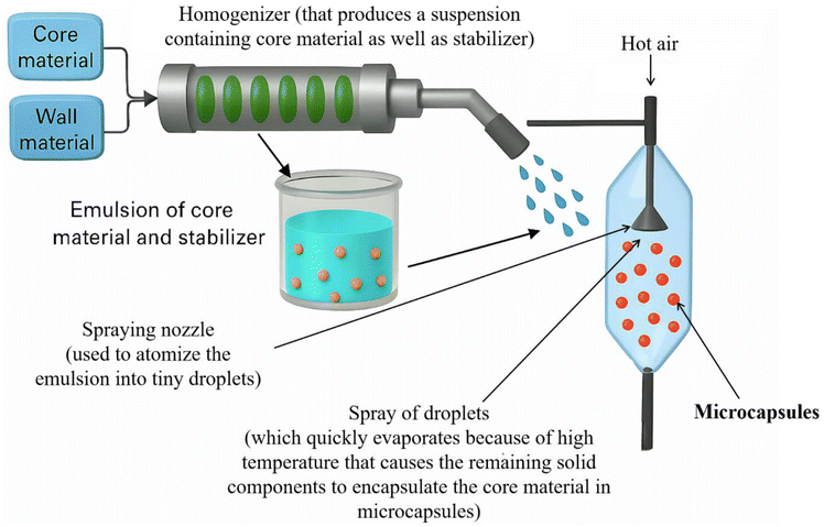 image file: d5lp00210a-f8.tif