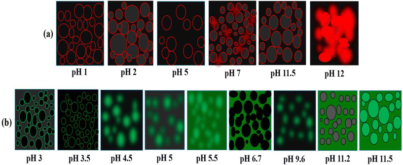 image file: d5lp00210a-f9.tif