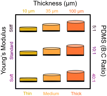 image file: d5lp00227c-f1.tif