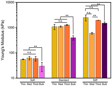 image file: d5lp00227c-f2.tif