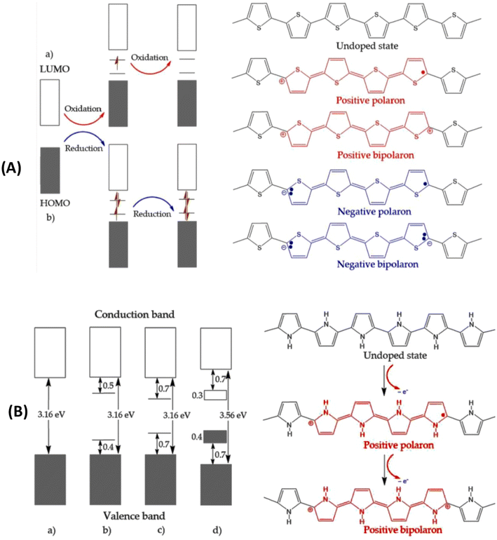 image file: d5lp00230c-f3.tif