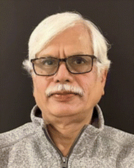 image file: d5lp00230c-p1.tif