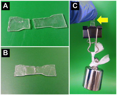 image file: d5lp00241a-f4.tif