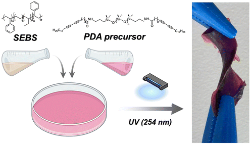 image file: d5lp00272a-f1.tif