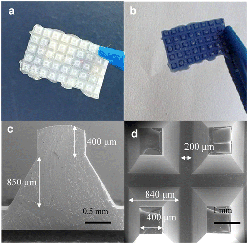 image file: d5lp00272a-f2.tif