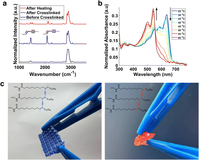 image file: d5lp00272a-f3.tif