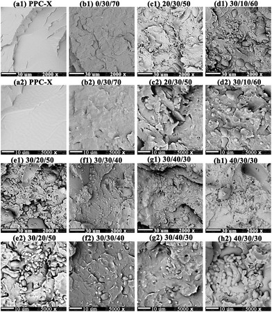 image file: d5lp00274e-f6.tif