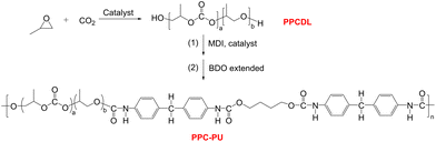 image file: d5lp00274e-s2.tif