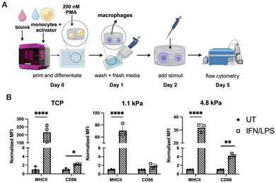 image file: d5lp00285k-f3.tif