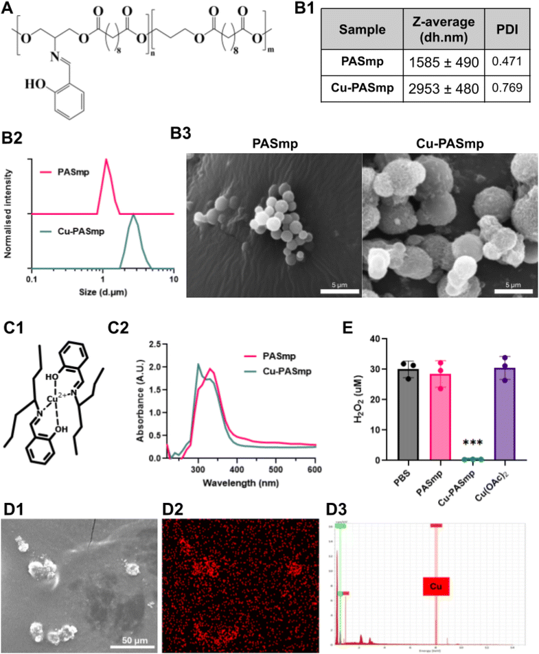 image file: d5lp00289c-f1.tif