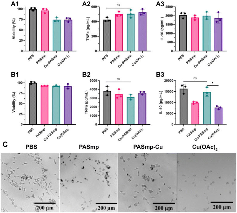 image file: d5lp00289c-f3.tif