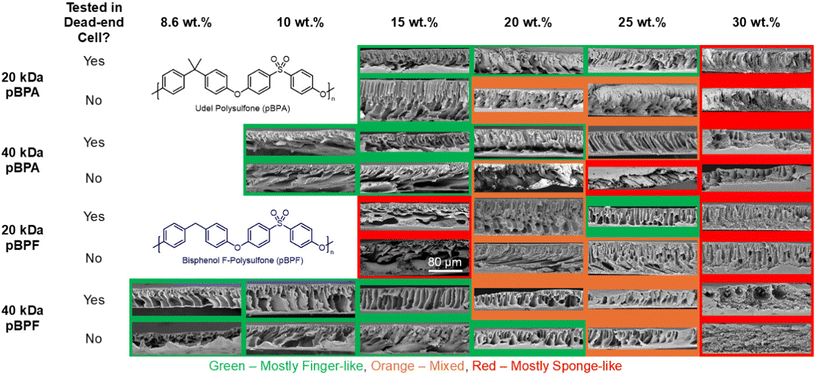 image file: d5lp00299k-f7.tif