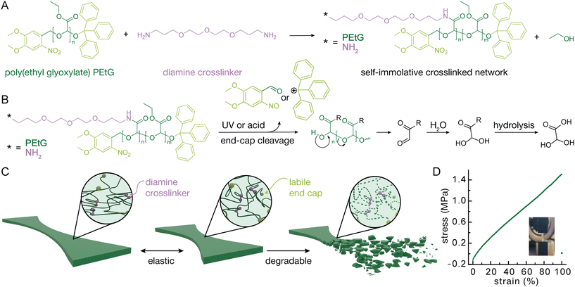 image file: d5lp00310e-f1.tif