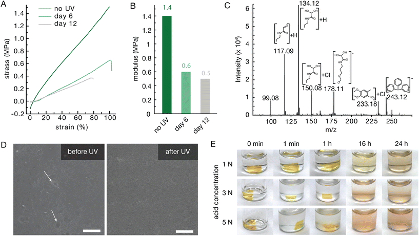 image file: d5lp00310e-f3.tif
