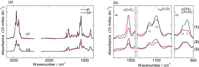 image file: d5lp00320b-f3.tif