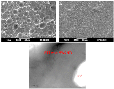 image file: d5lp00324e-f2.tif