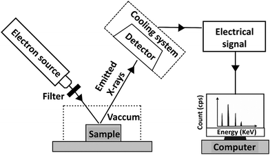 image file: d5lp00329f-f12.tif